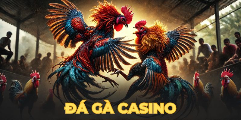 đá gà casino