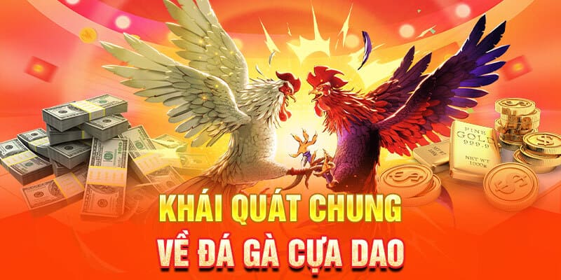 Khái quát chung về đá gà cựa dao